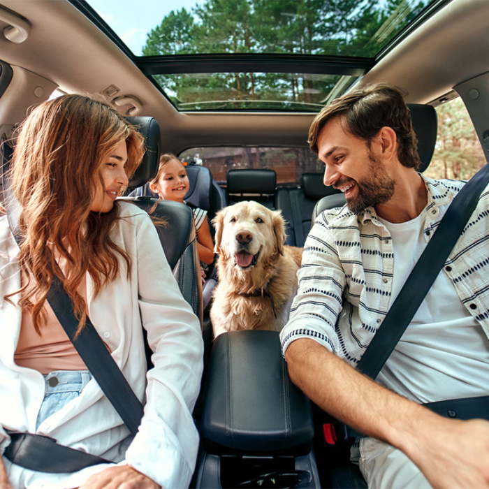 Family happily riding in car with their dog after refinancing auto loan at Credit Union of Ohio