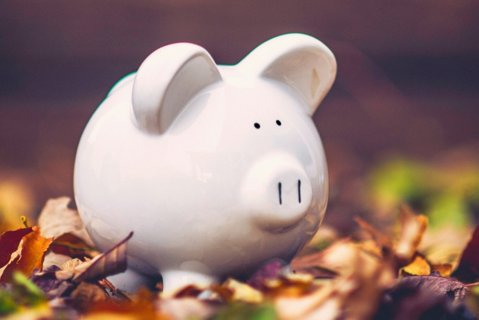 piggy bank in colorful fall leaves