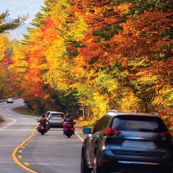 Vehicles on a road in fall